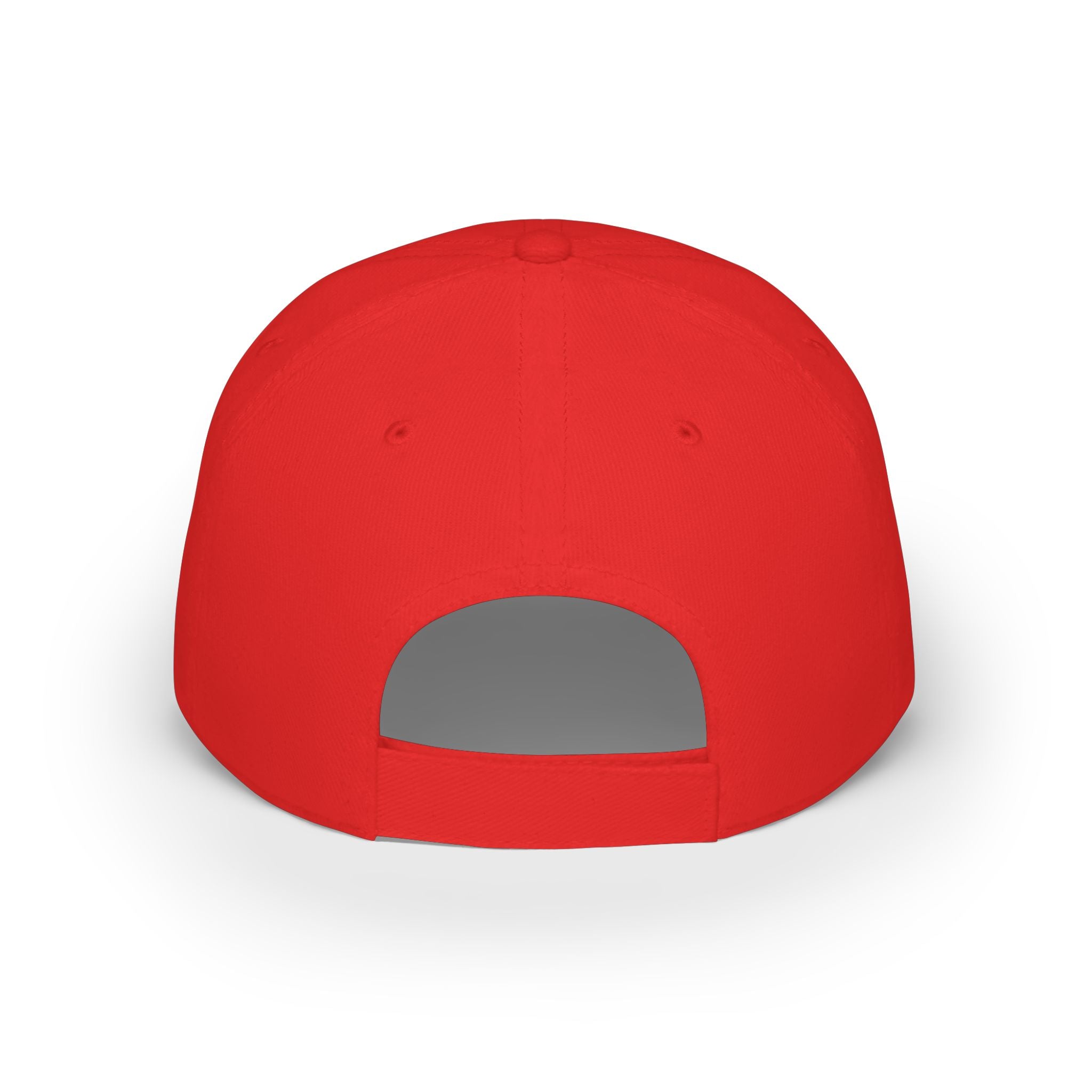Retro JLR© Investigates Baseball Hat — back view showing adjustable Velcro closure