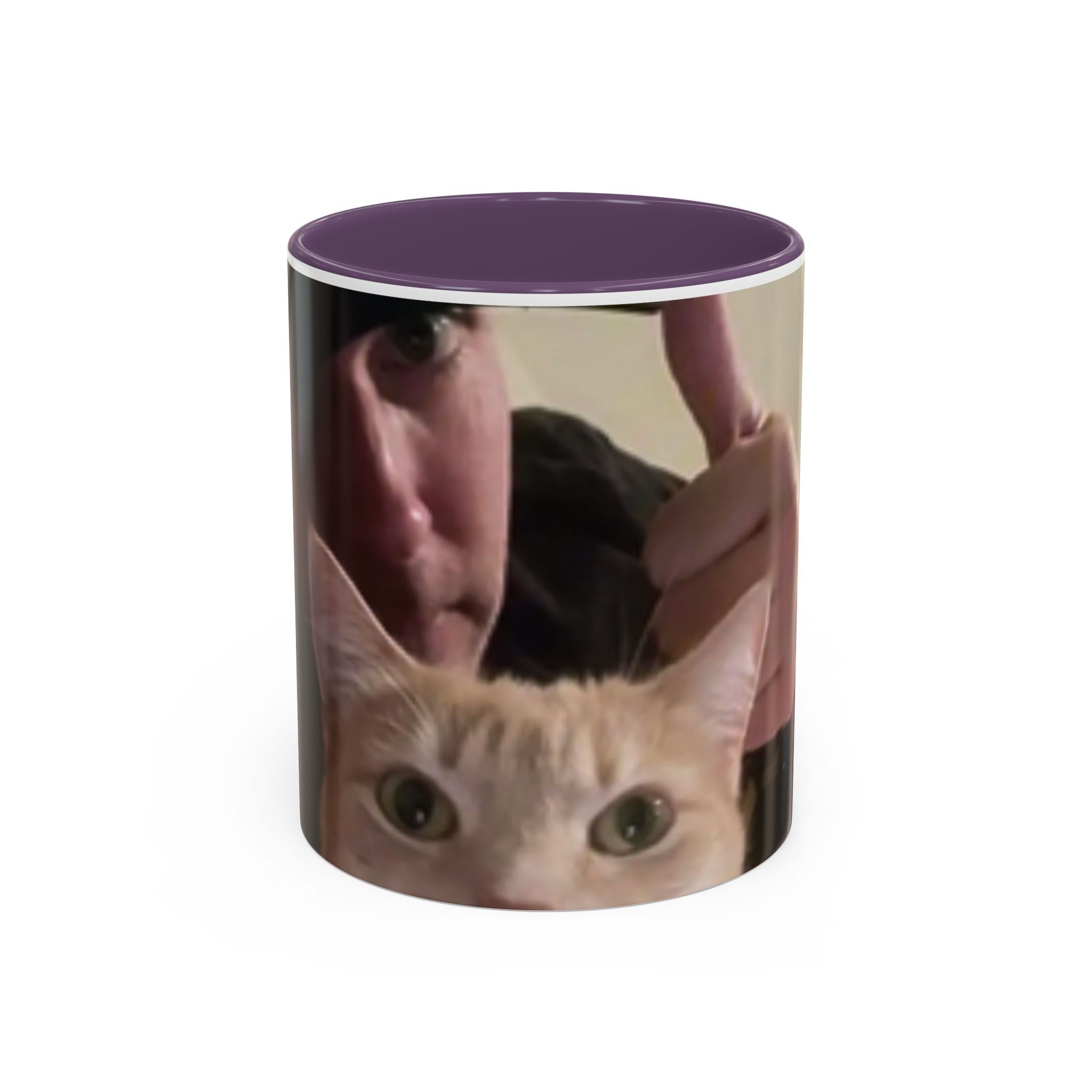 JLR Investigates and cat photo 11oz ceramic mug — Purple interior and handle— JLR Investigates