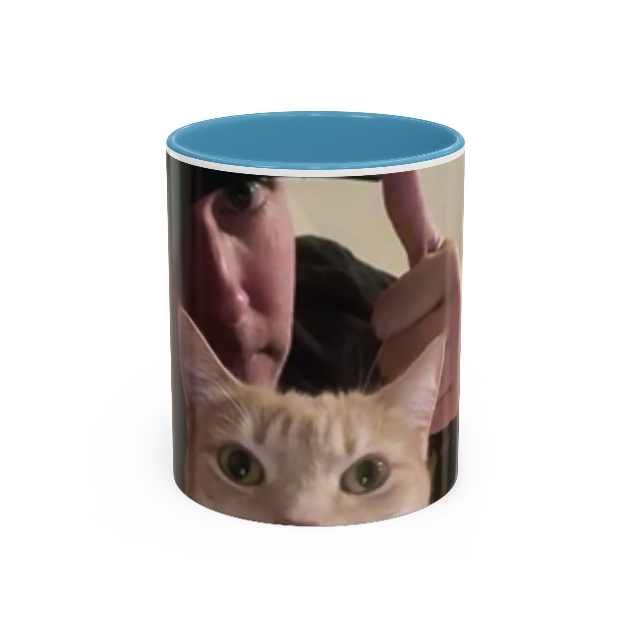 JLR Investigates and cat photo 11oz ceramic mug — Blue interior and handle— JLR Investigates