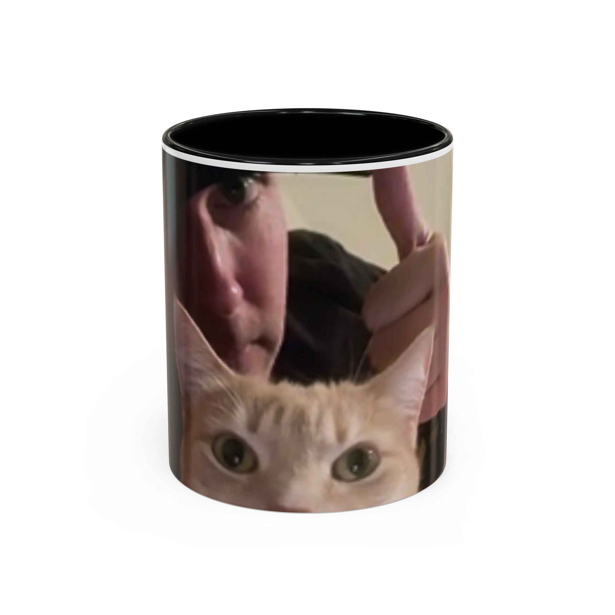 LR Investigates with cat photo 11oz ceramic mug — Black interior and handle — JLR InvestigatesJ
