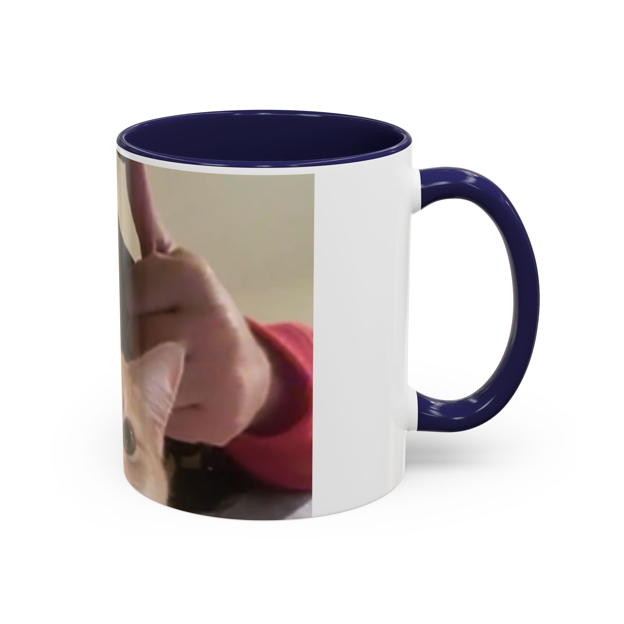 JLR Investigates and cat photo 11 oz ceramic mug — Navy interior and handle— JLR Investigates