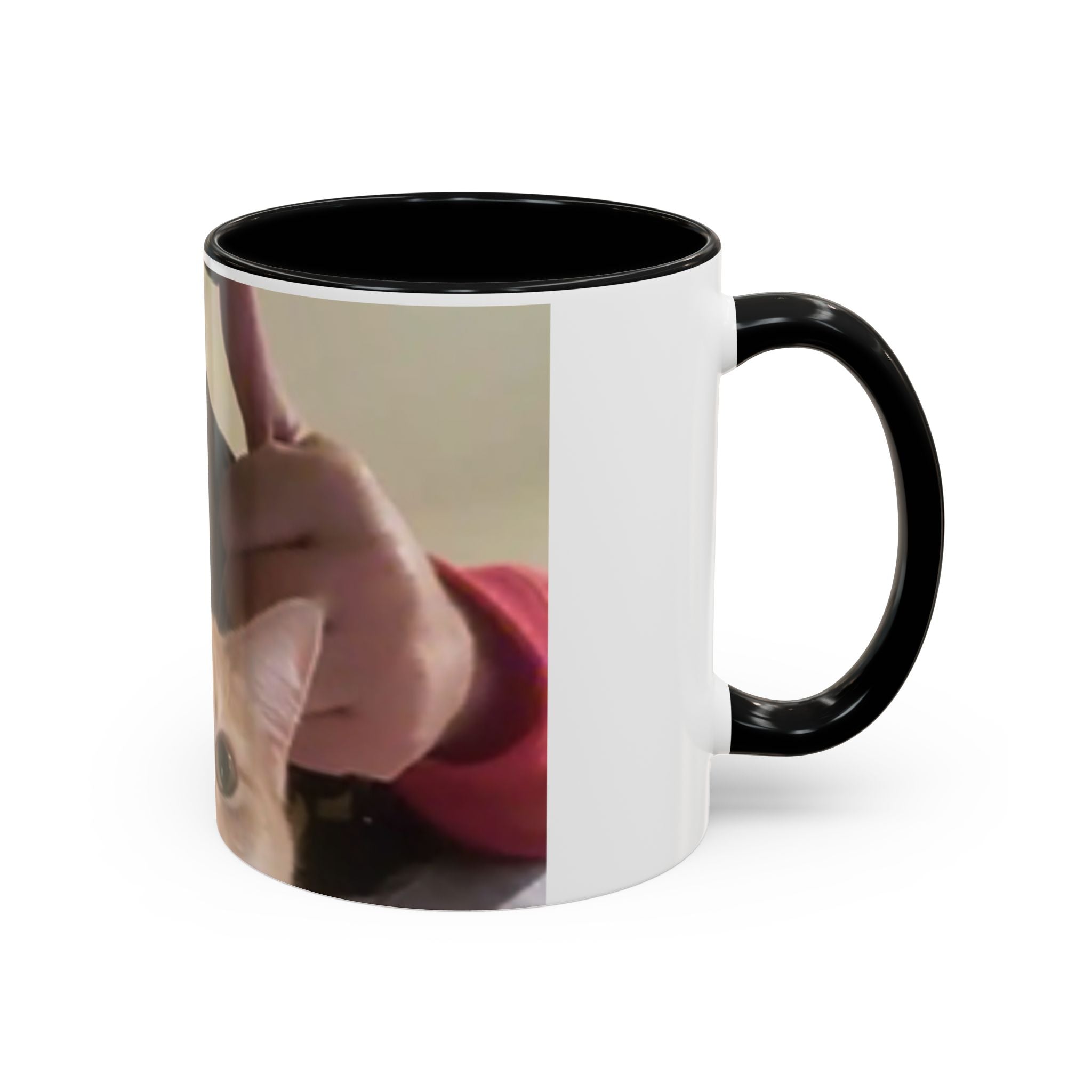 JLR Investigates with cat photo 11oz ceramic mug — Black interior and handle — JLR Investigates