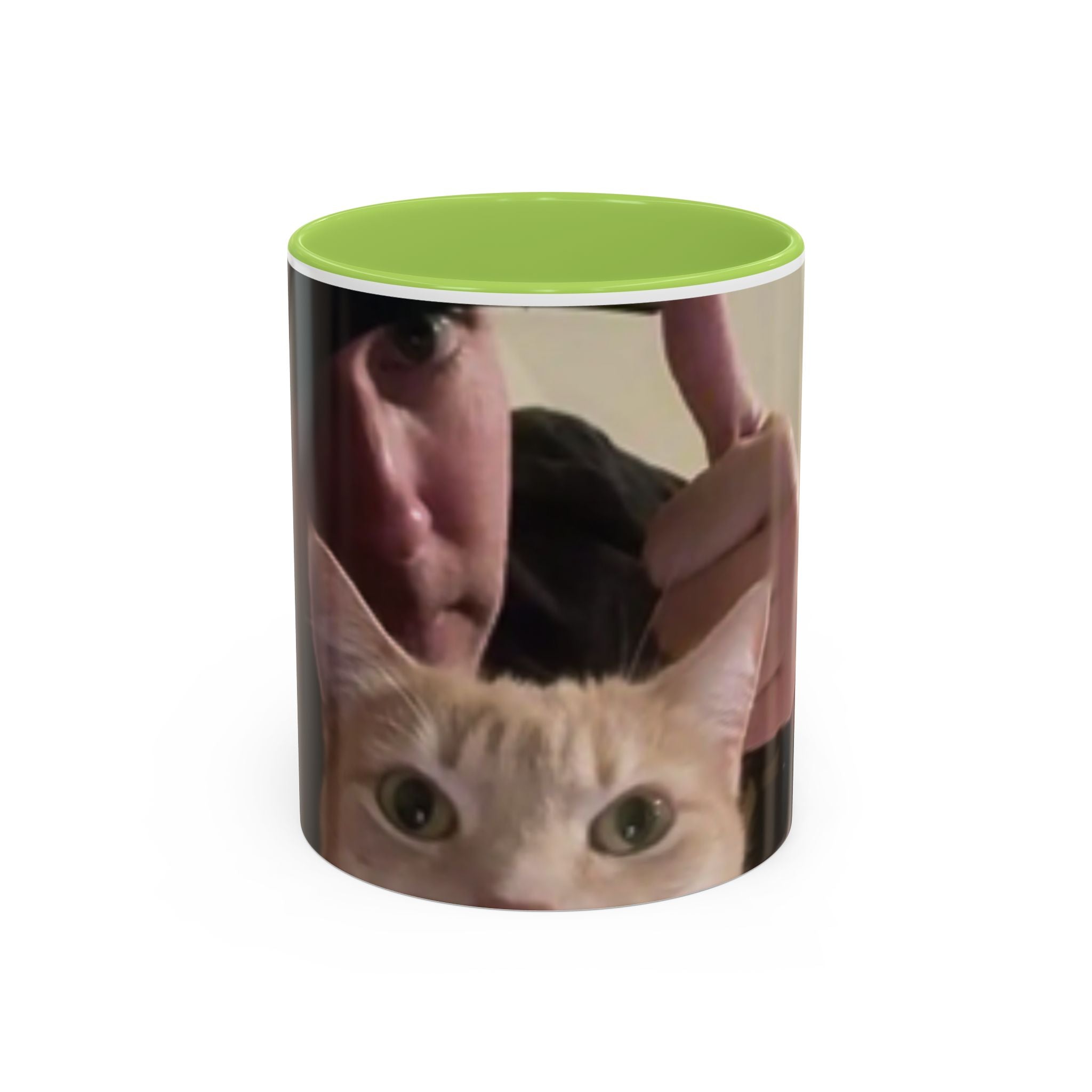 JLR Investigates and cat photo 11oz ceramic mug — Green interior and handle— JLR Investigates