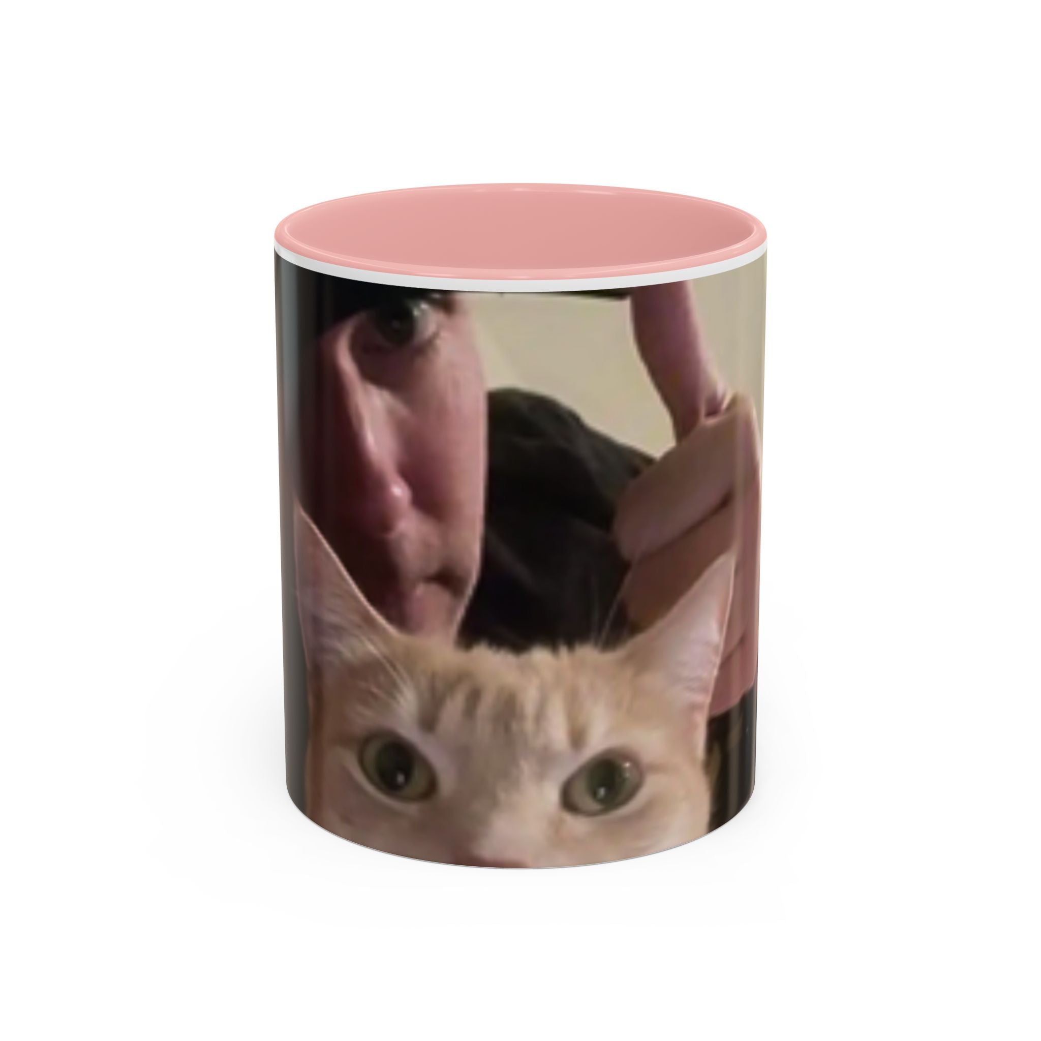 JLR Investigates and cat photo 11oz ceramic mug — Pink interior and handle— JLR Investigates