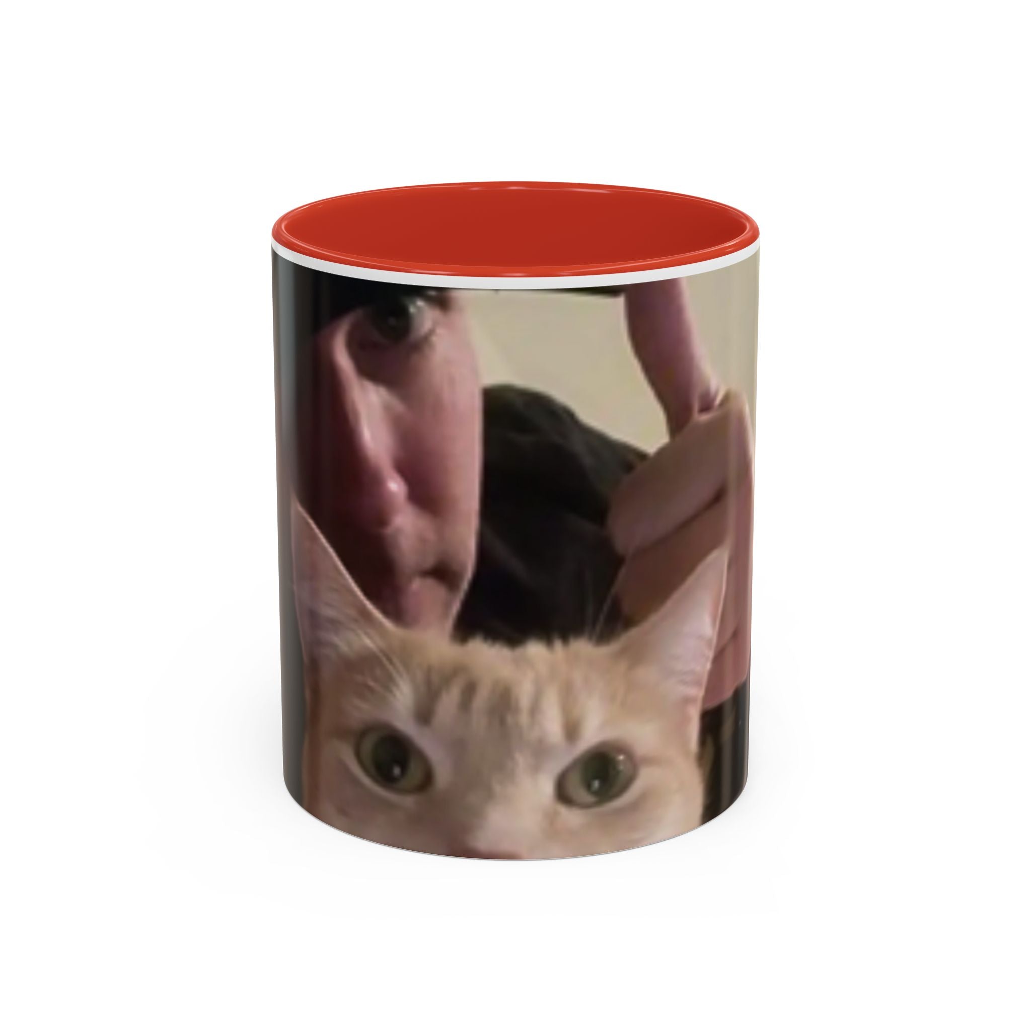 JLR Investigates and cat photo 11oz ceramic mug — Red interior and handle— JLR Investigates