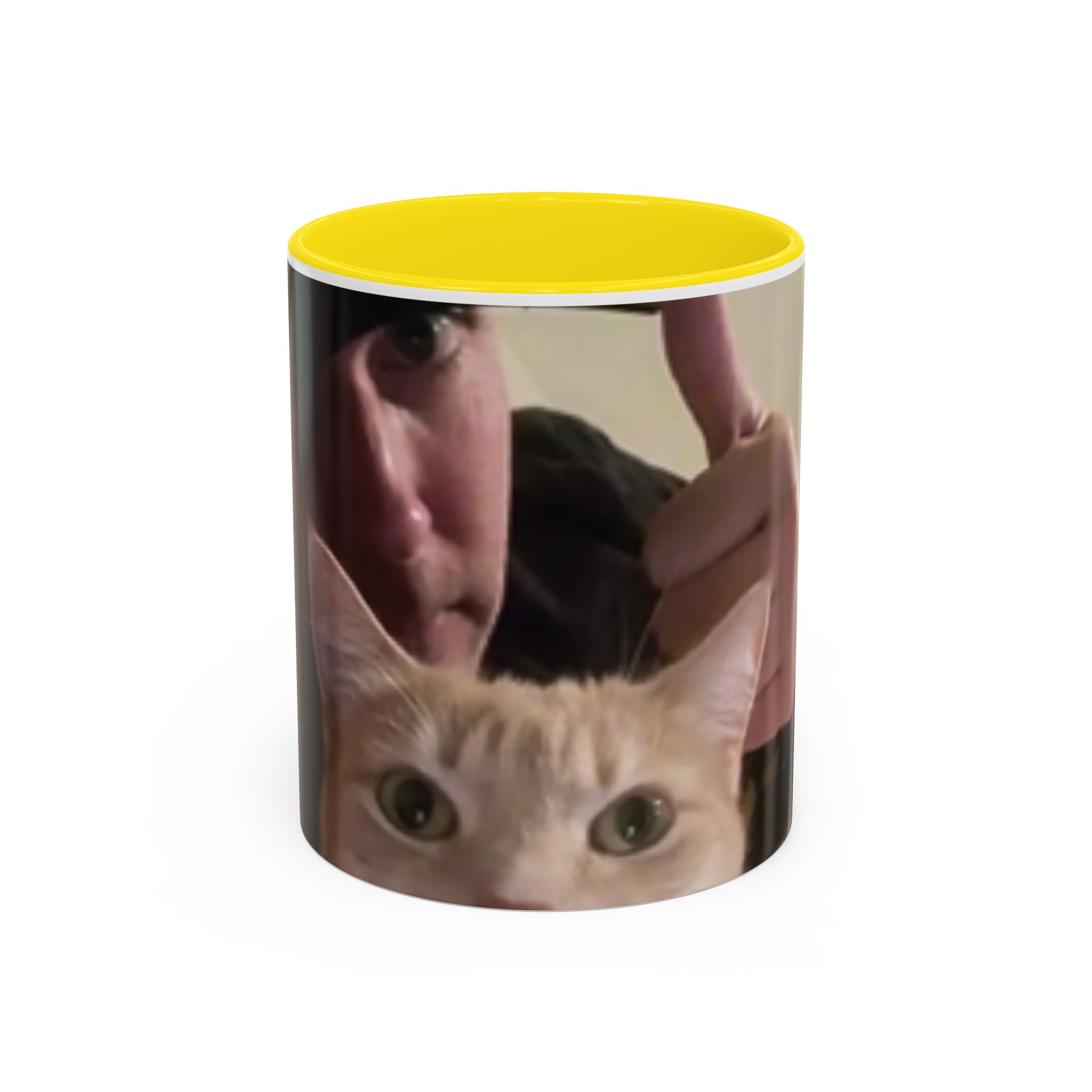 JLR Investigates and cat photo 11oz ceramic mug — Yellow interior and handle— JLR Investigates