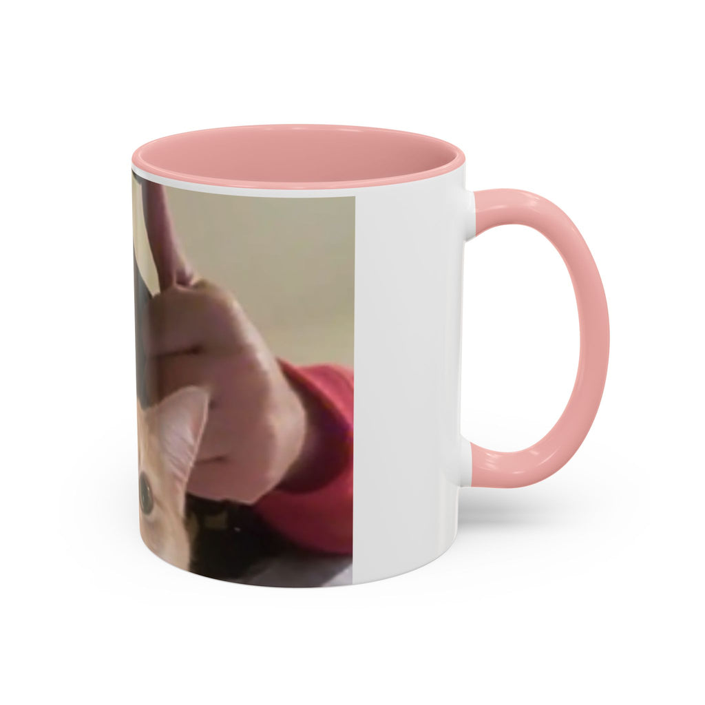 JLR Investigates and cat photo 11oz ceramic mug — Pink interior and handle— JLR Investigates